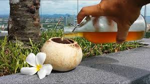 Coconut Wine